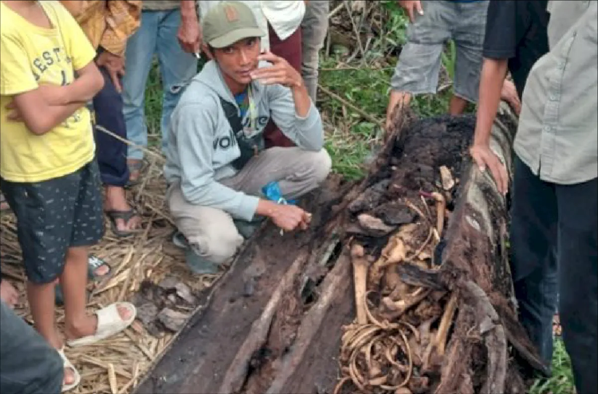 Kerangka manusia di batang pohon aren