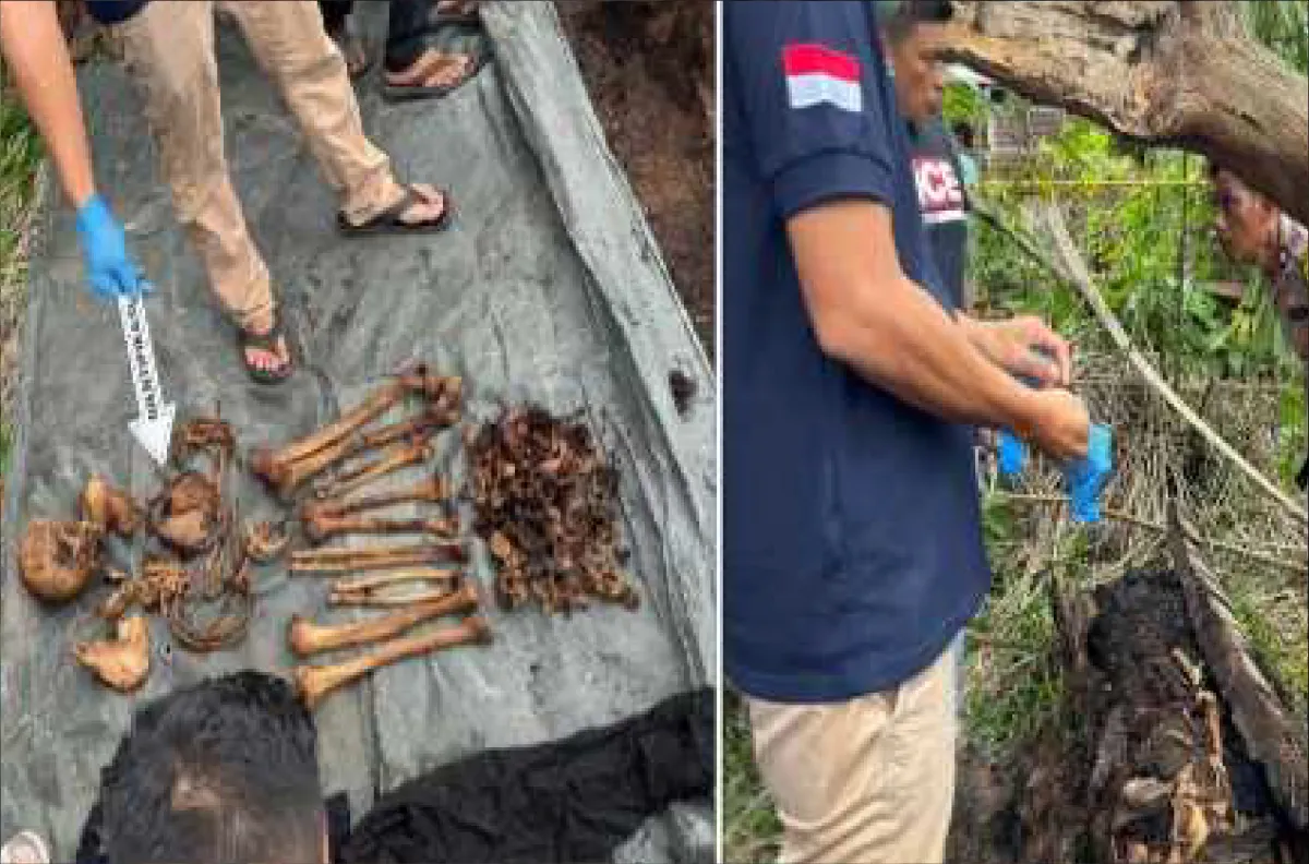 Kerangka manusia di batang pohon aren