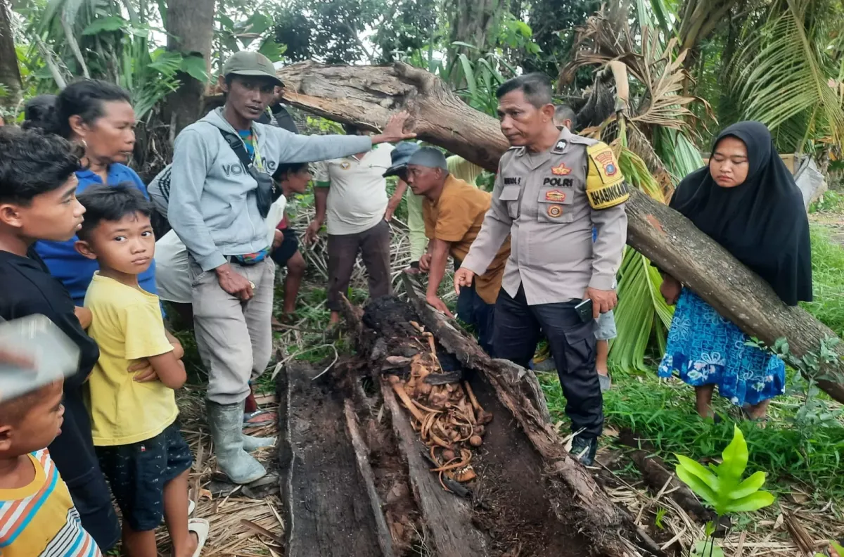 Warga menemukan kerangka manusia di batang pohon aren